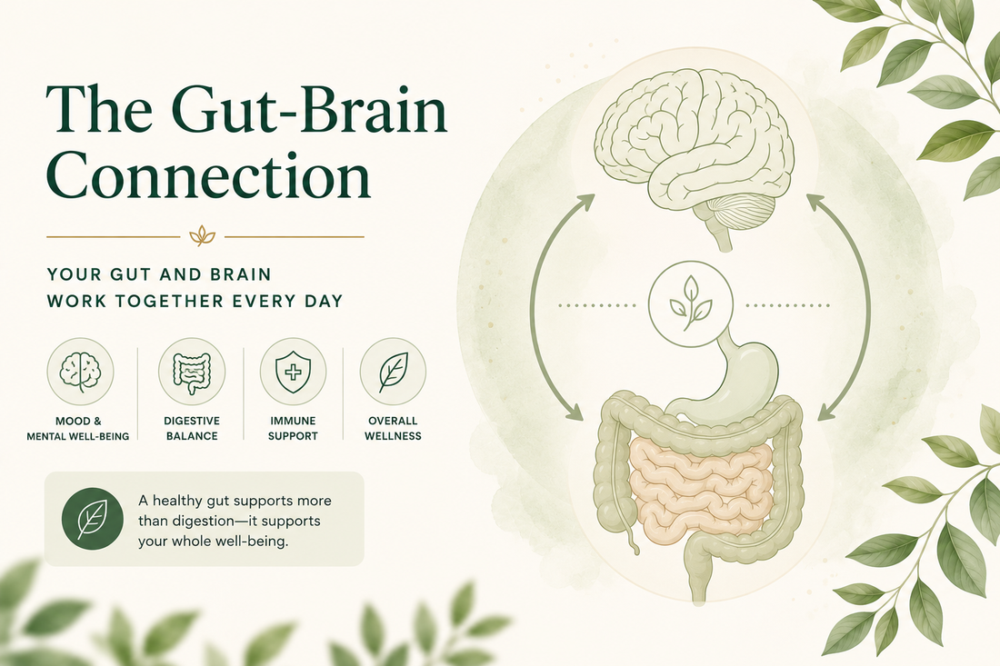 The Gut-Brain Connection