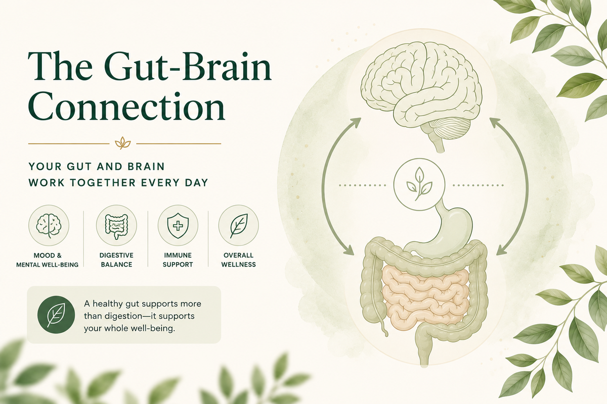 The Gut-Brain Connection
