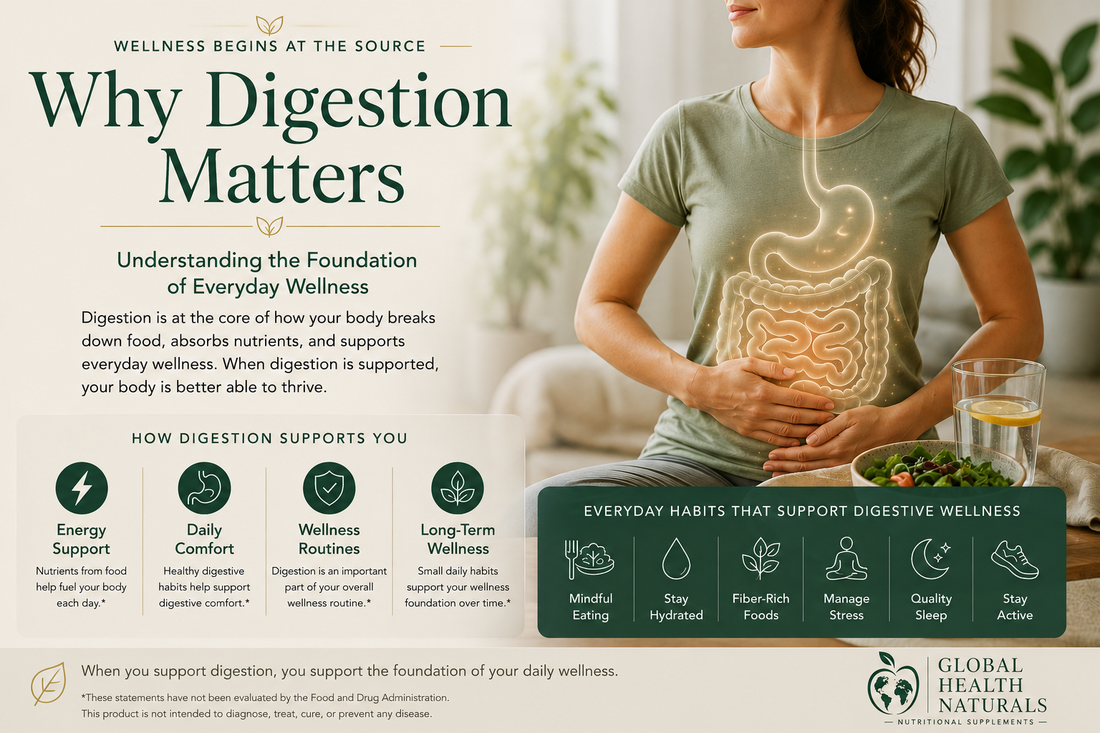 Why Digestion Matters: Understanding the Foundation of Everyday Wellness