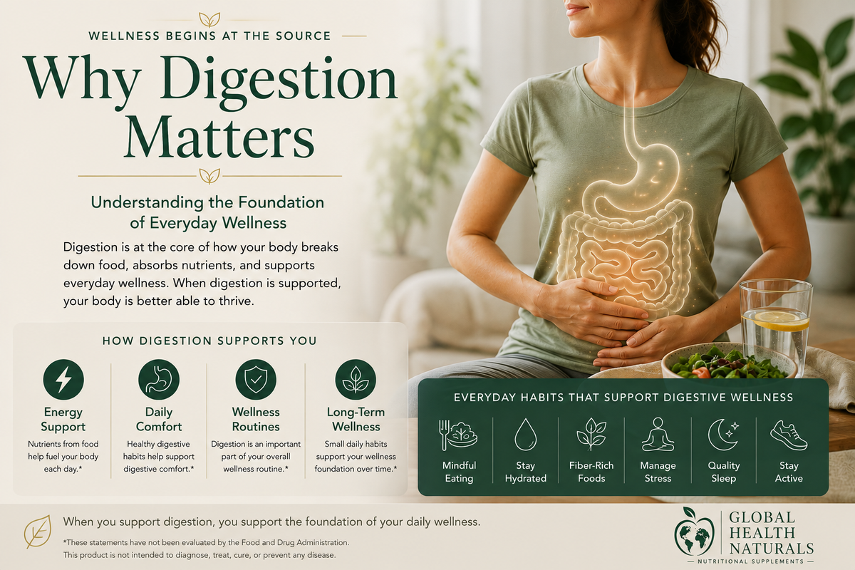 Why Digestion Matters: Understanding the Foundation of Everyday Wellness