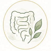 Digestive Signals Assessment