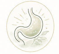 Gut Wellness